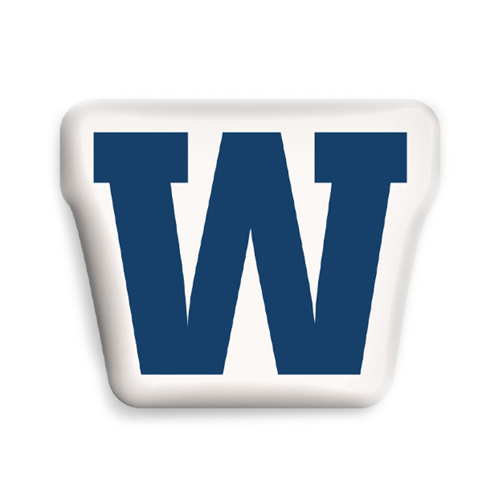 Camp Vibe Logo Pillow