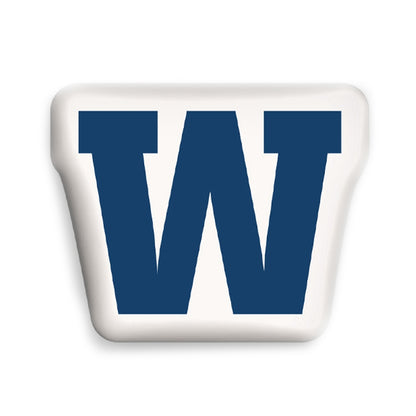 Camp Vibe Logo Pillow