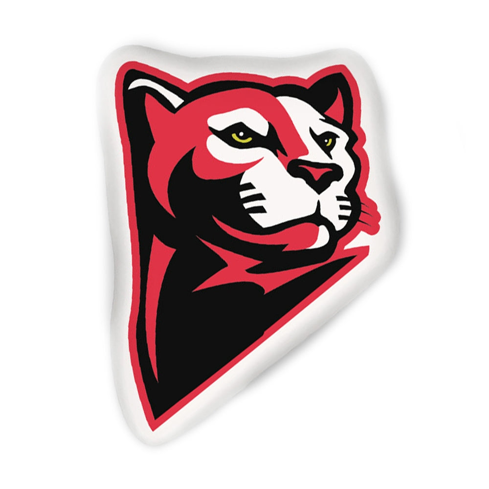 Camp Vibe Logo Pillow