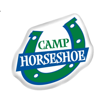 Camp Vibe Logo Pillow