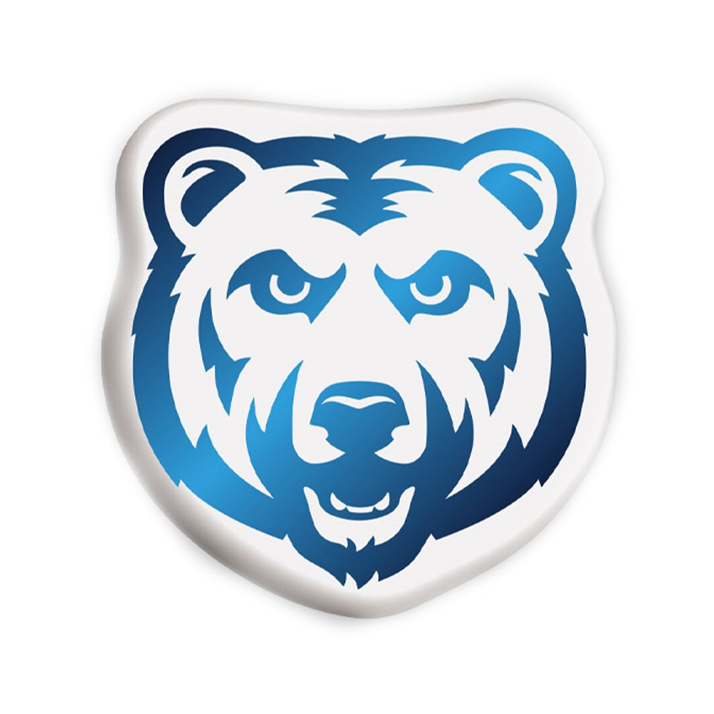 Camp Vibe Logo Pillow