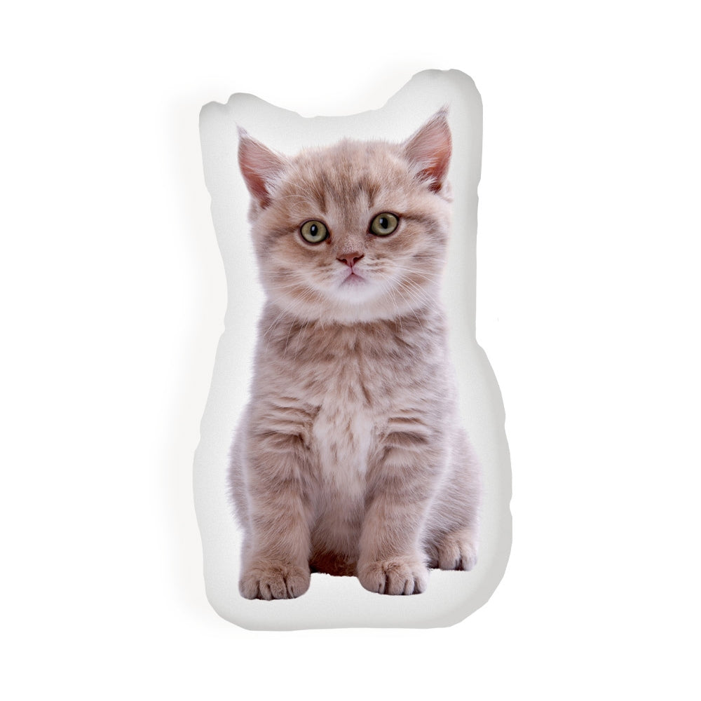 Custom Vibe Pet Pillow