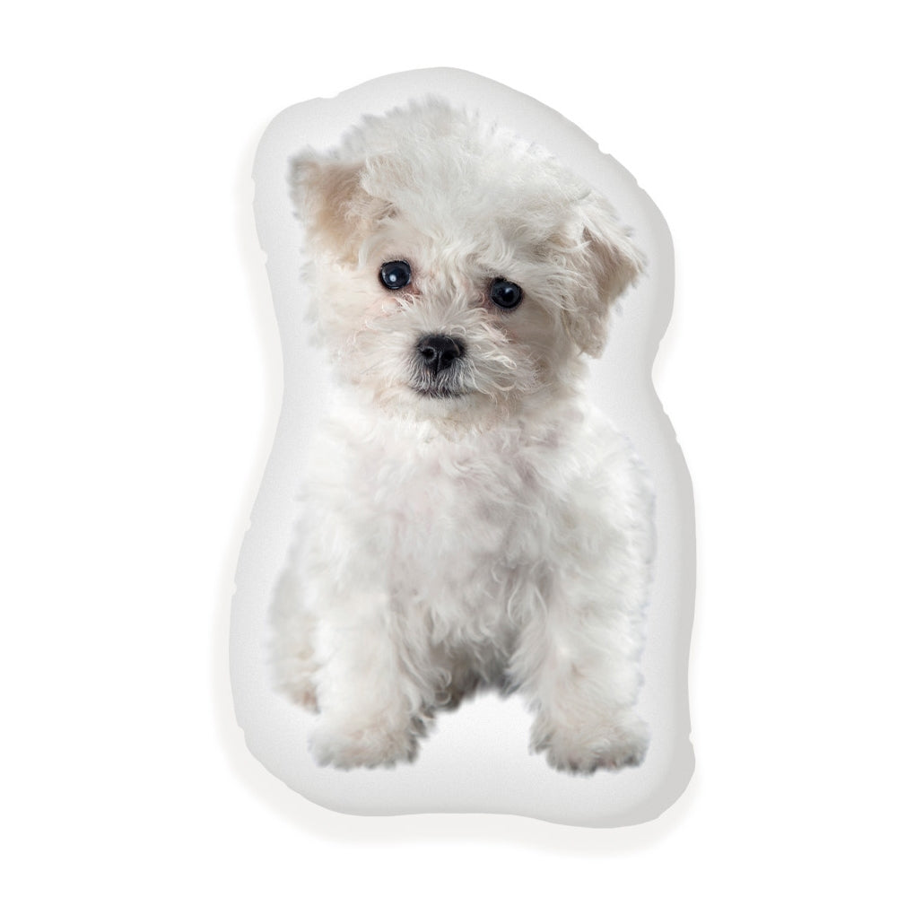 Custom Vibe Pet Pillow