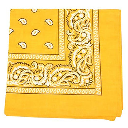 Boys Camp Spirit Essentials Bundle