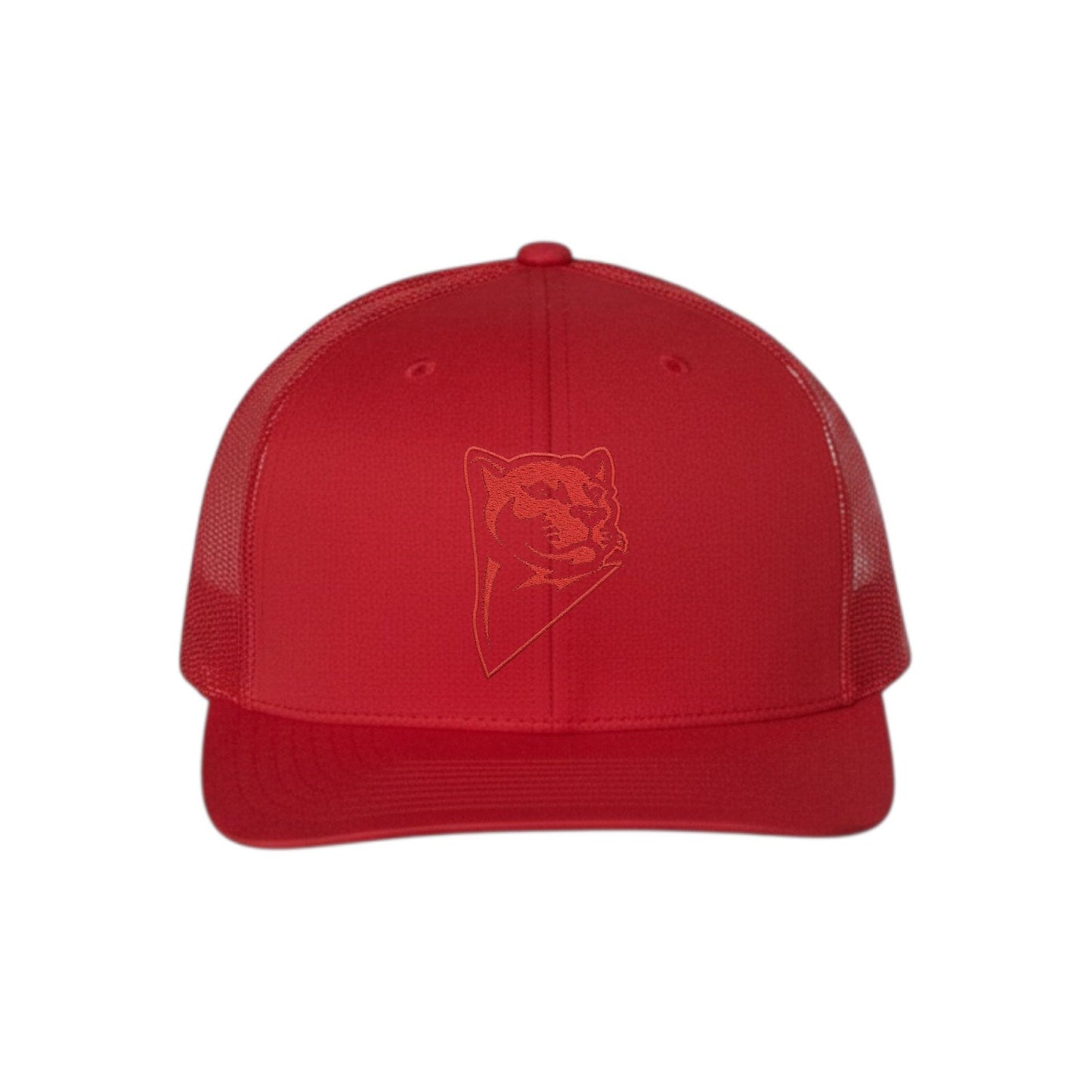 Panther Embroidered Hat